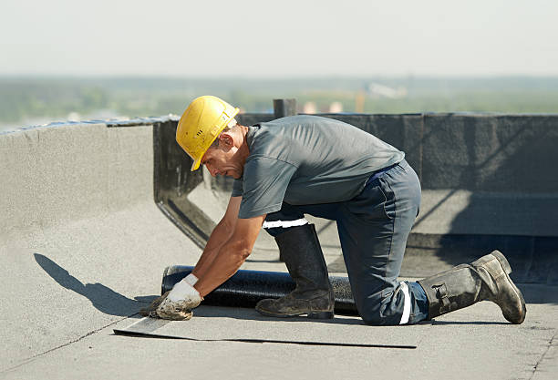 Best Insulation Removal  in Piney Mountain, VA