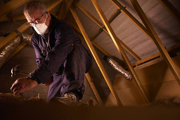 Insulation Repair Services in Piney Mountain, VA