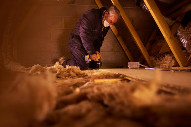 Best Energy-efficient Insulation  in Piney Mountain, VA